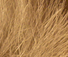 Samsung NX100: "zrcadlovka" do kapsy