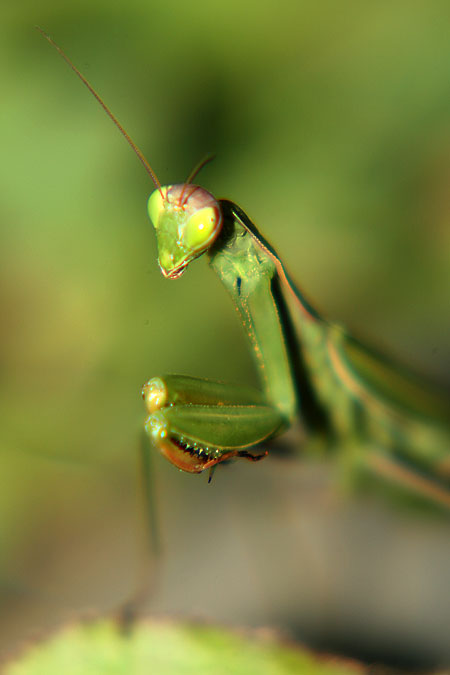 DSLR na cestě časem - 4. díl