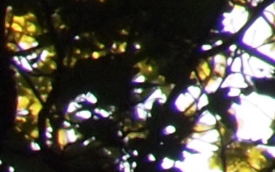 Olympus M.Zuiko Digital 14-150 mm F4-5,6