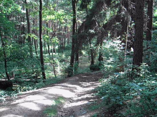 Acer CR-8350: Kompaktních 8 Mega