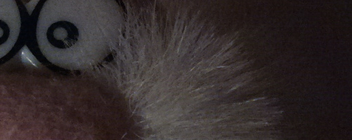 Nokia 808 PureView: mobilní zrcadlovkobijec