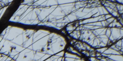 Fujifilm X-S1: jedinečný