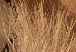 Olympus OM-D E-M5: elegantní fotokladivo