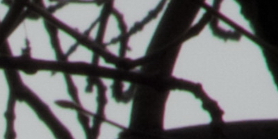 Fujifilm X-S1: jedinečný