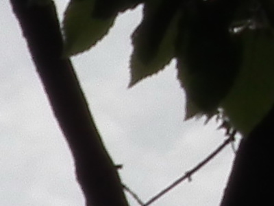 Fujifilm FinePix HS10: ultrazoom roku?