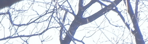 Fujinon XC 15-45mm 1:3.5-5.6 OIS PZ