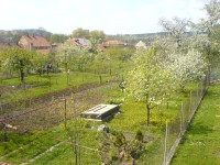 Téma pro tento měsíc - Jak fotí fotomobily, díl II.