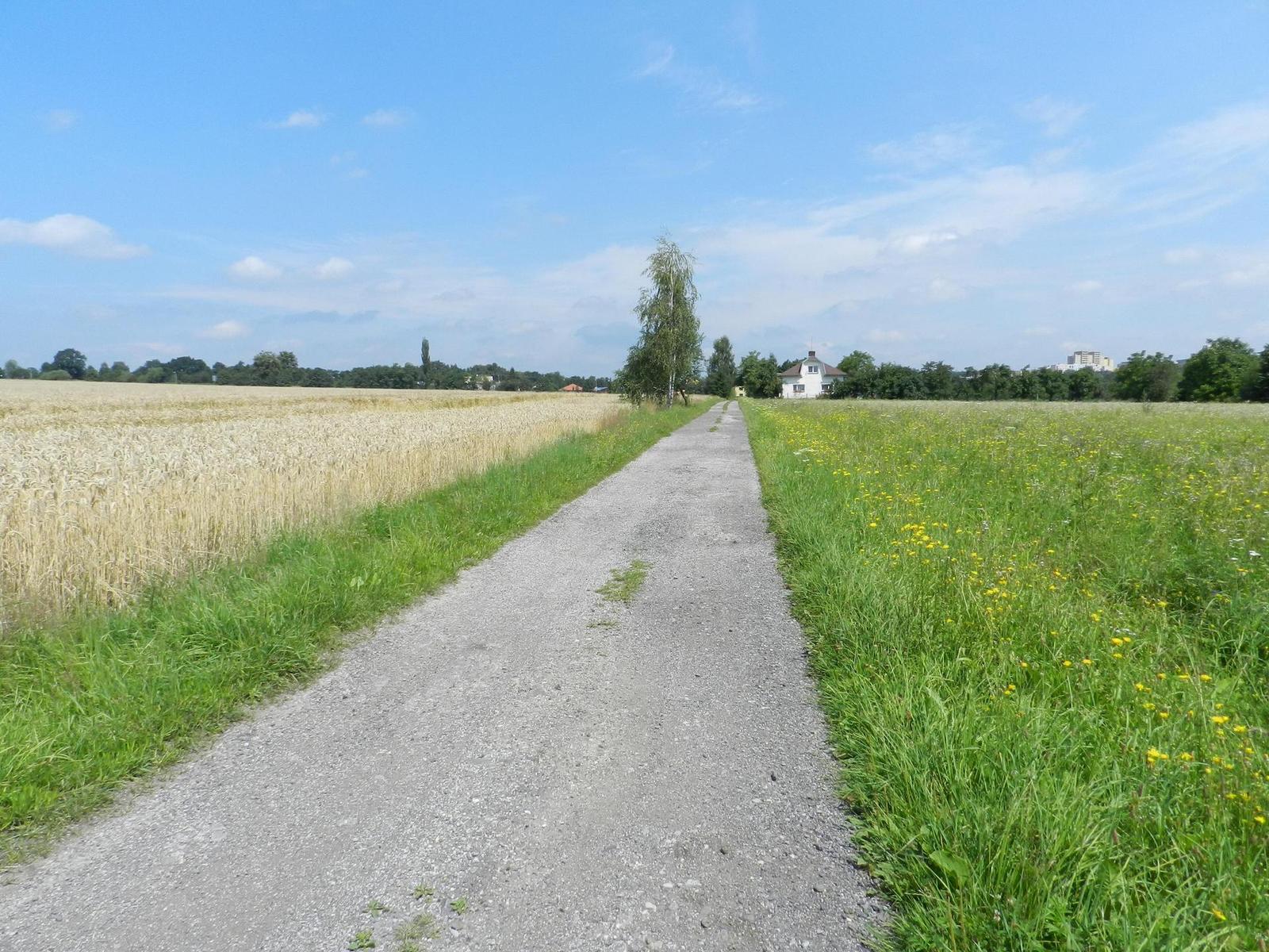 Nikon Coolpix P500: univerzální dalekohled