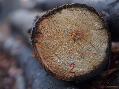 Olympus M.Zuiko Digital 45mm 1:1.8