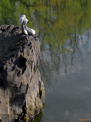 Fotíme s Koalou: ISO citlivost