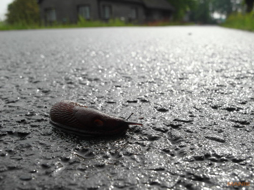 Samsung EX1: příjemné překvapení