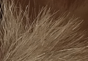 Samsung NX300: spousta kroků vpřed, jeden vzad