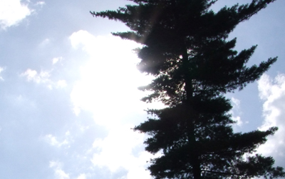 Fujifilm S100FS: jde zrcadlovkám po krku