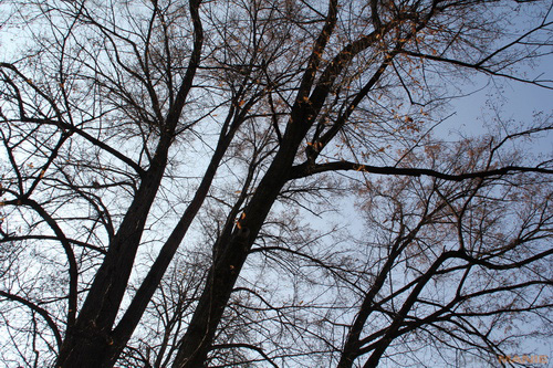 Megatest ultrazoomových objektivů