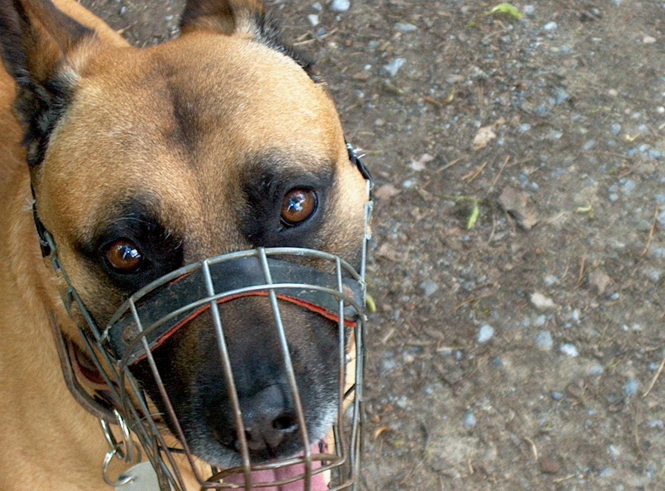 HP Photosmart C618: Jak mete staré koště?