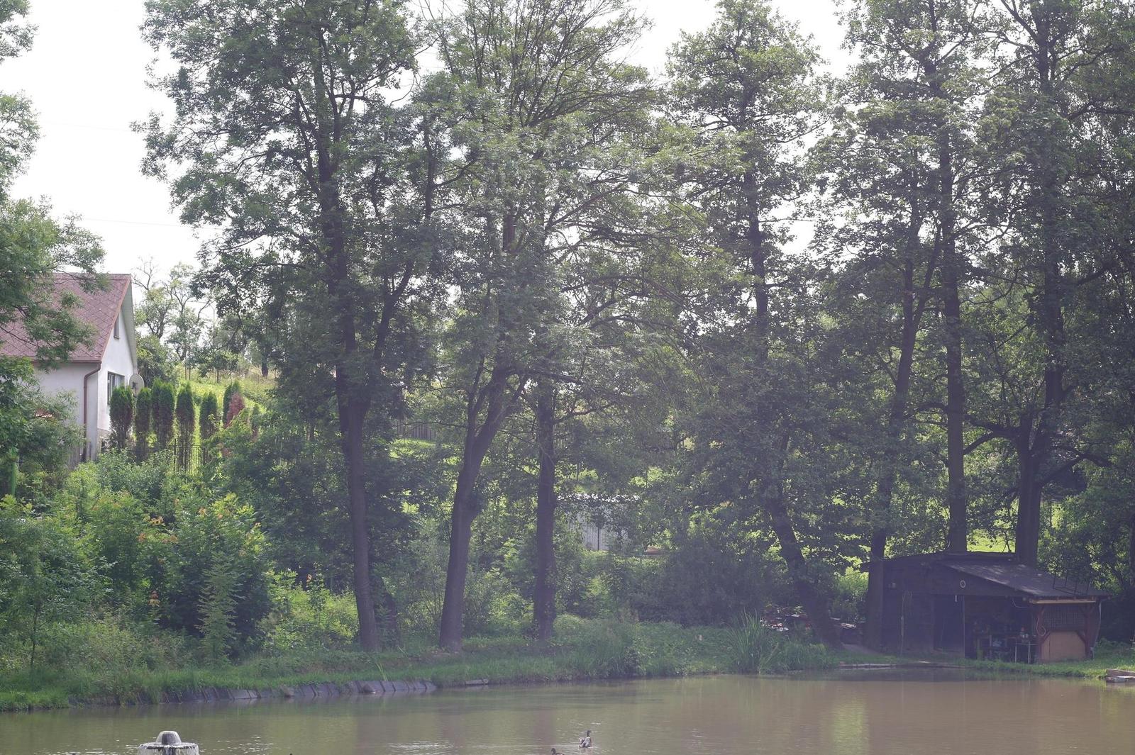 Helios-44M 58mm F2.0 (M42)