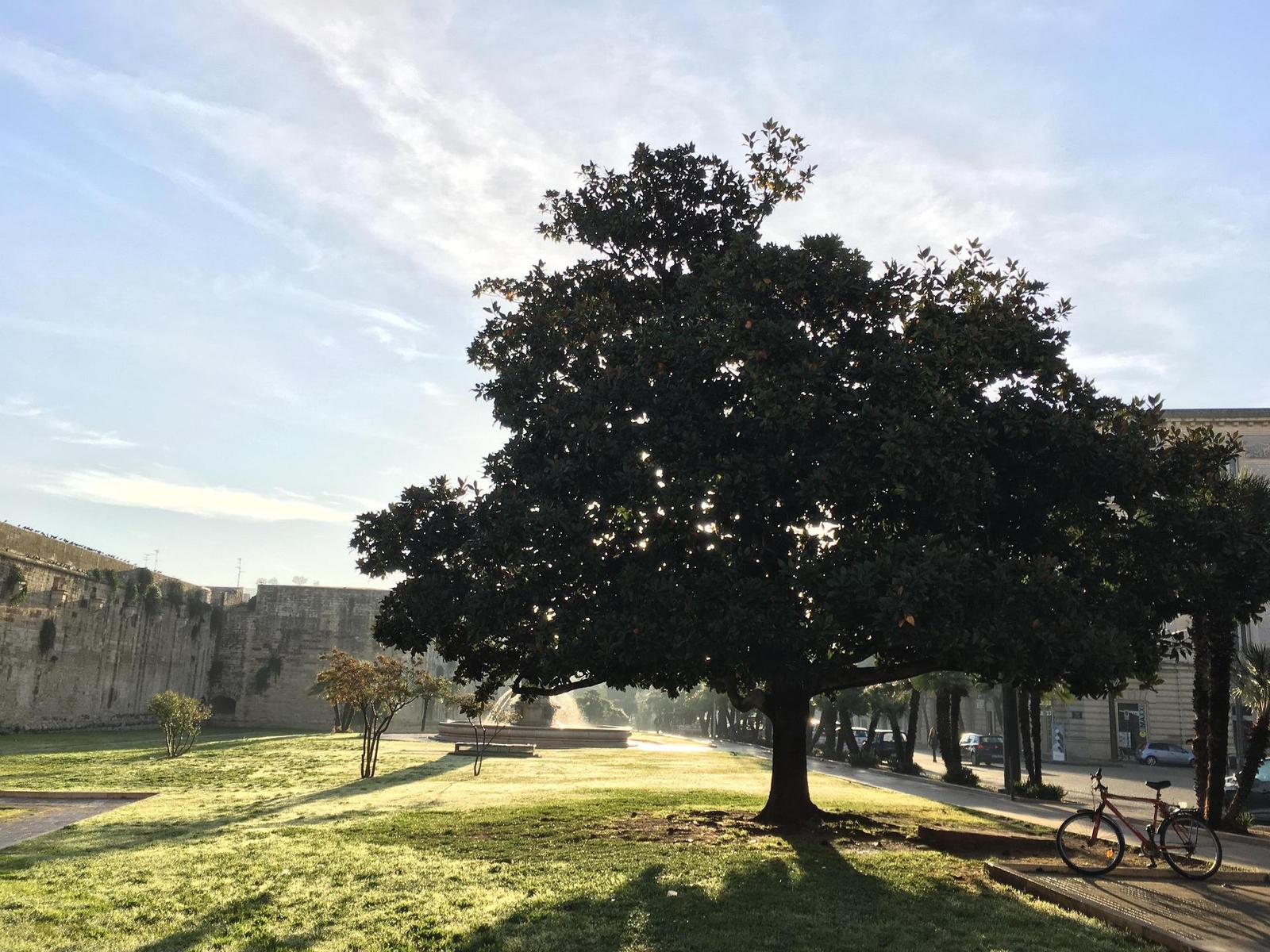 Apple iPhone SE: kompaktní silák