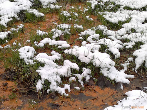 Nokia C7: pro fotící manažery