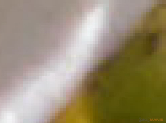 Fotíme mobilem: Zapovězené makro?