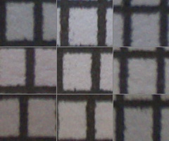 Panasonic Lumix G Vario 100-300mm F4-5,6