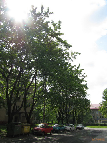 Canon PowerShot SX210 IS: s překvapivou zbraní