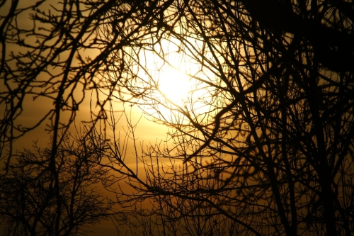 Zrcadlovka a já: Od soumraku do úsvitu