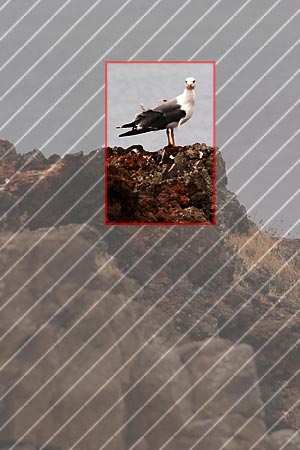 Jaký digitální fotoaparát na dovolenou? – 1. díl