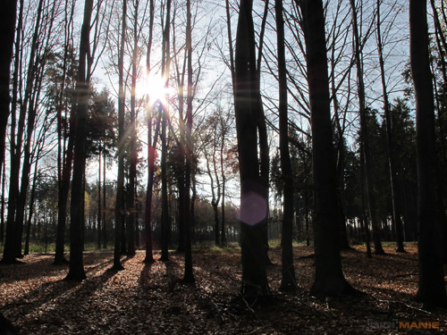 Canon PowerShot G11: géčko, o jakém jsme snili