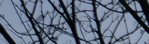 Panasonic Leica DG Vario-Elmarit 12-60mm / F2.8-4.0 ASPH. / Power O.I.S.