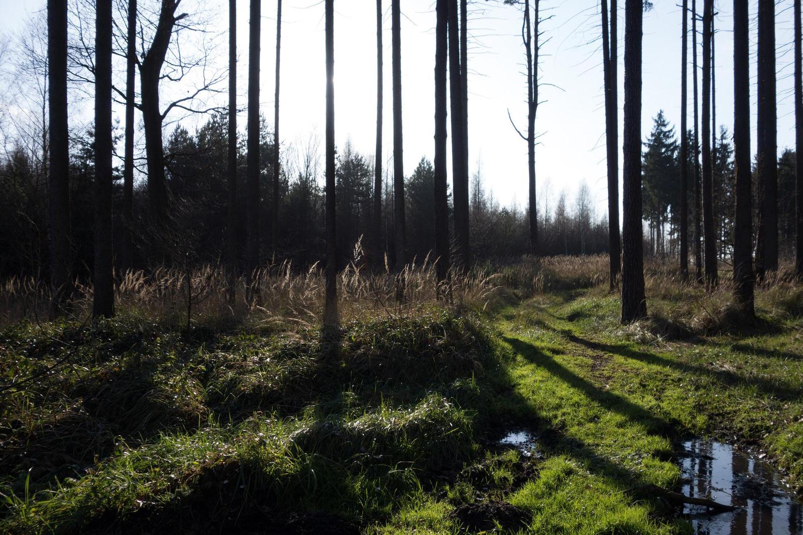 DSLR vs kompakt: Canon EOS 1200D s 18-55mm, Sony RX100