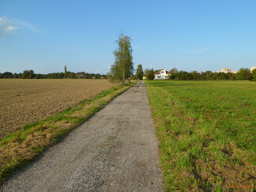 Starý vs. nový aneb megapixely k ničemu?