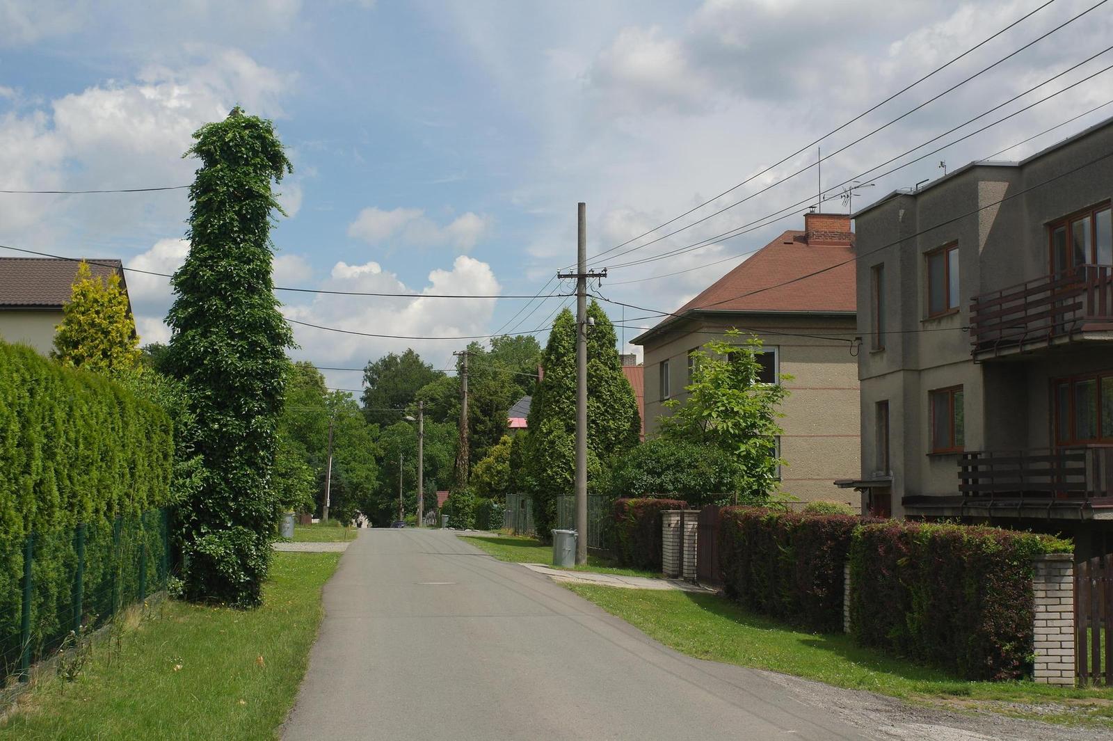 Canon FL 35mm 1:2.5 (FL/FD)