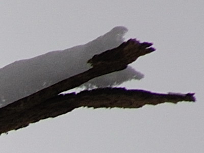 Dva objektivy nebo jeden ultrazoom?