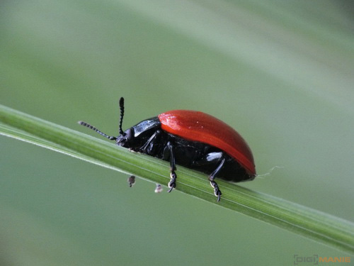 Fujifilm FinePix HS20EXR: důstojný nástupce