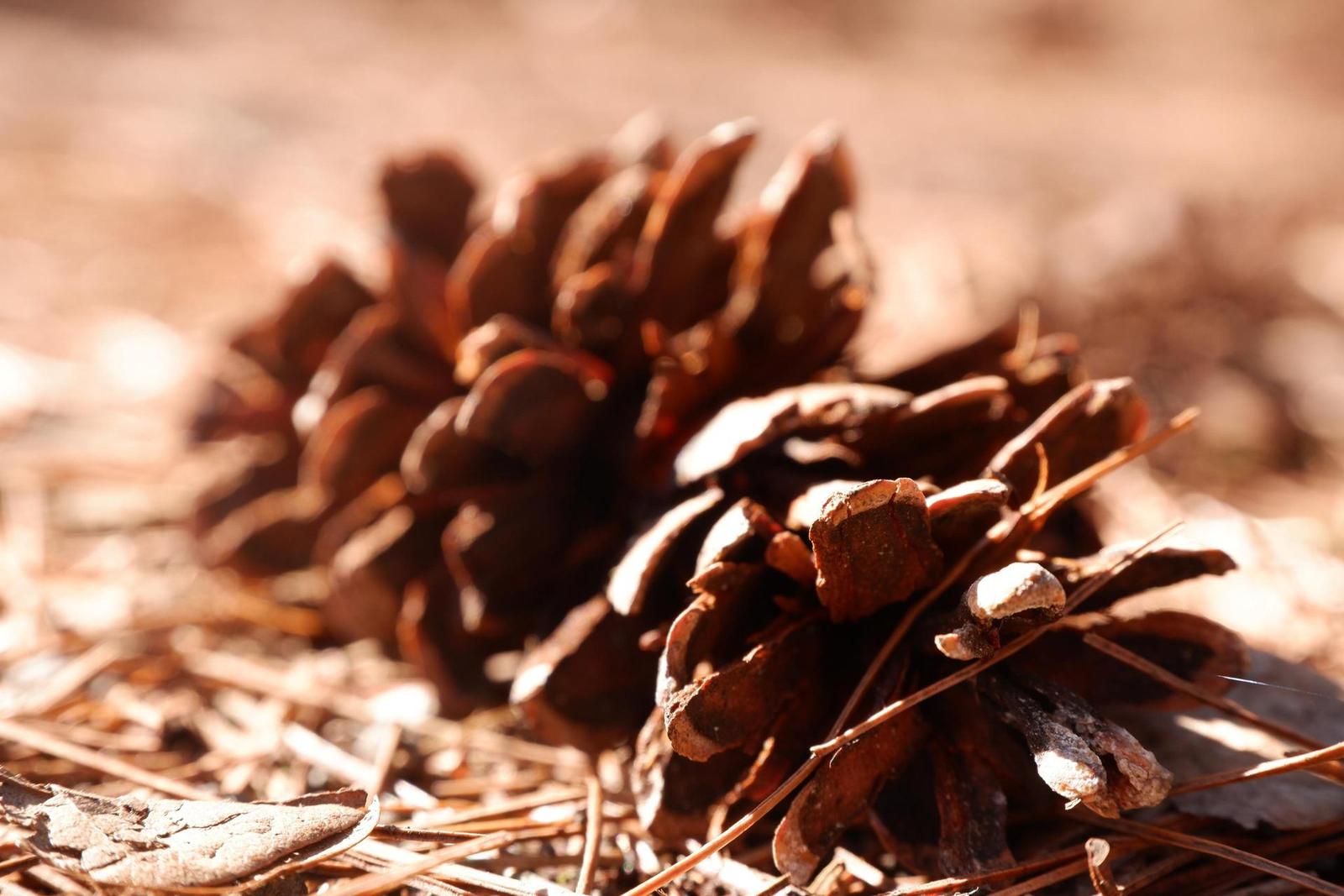 Fujinon XC 15-45mm 1:3.5-5.6 OIS PZ