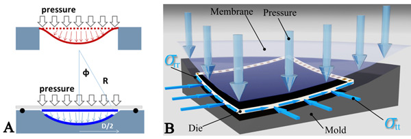 Microsoft prezentoval 1/2,3" zakřivený senzor
