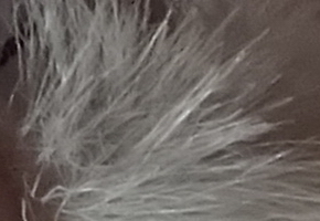 Sony Cyber-shot WX220: ostře nabitý drobek