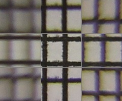 Megatest ultrazoomových objektivů