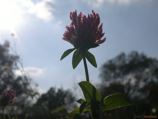 Fotíme mobilem: S bleskem za světlem