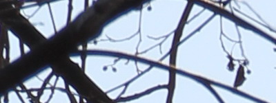 Megatest ultrazoomových objektivů