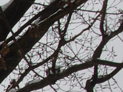 Dva objektivy nebo jeden ultrazoom?