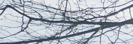 Panasonic Lumix G Vario 12-32mm f/3.5-5.6 ASPH. / MEGA O.I.S.