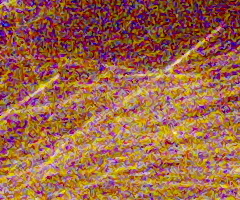 Panasonic Lumix FZ45 a FZ100: na vrcholu