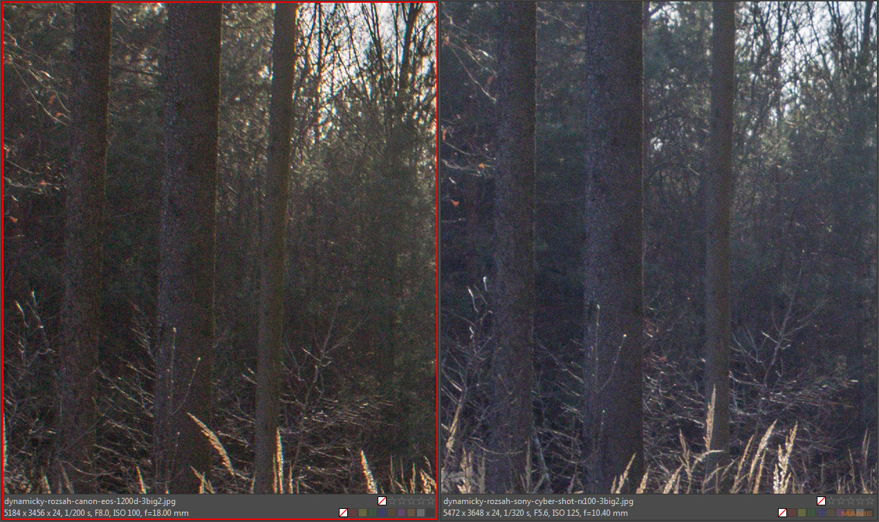 DSLR vs kompakt: Canon EOS 1200D s 18-55mm, Sony RX100