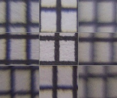 Sony SAL-1855 (DT 18-55mm F3,5-5,6 SAM)