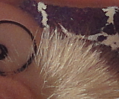 Sony Cyber-shot WX1: Vypilovaný drobek