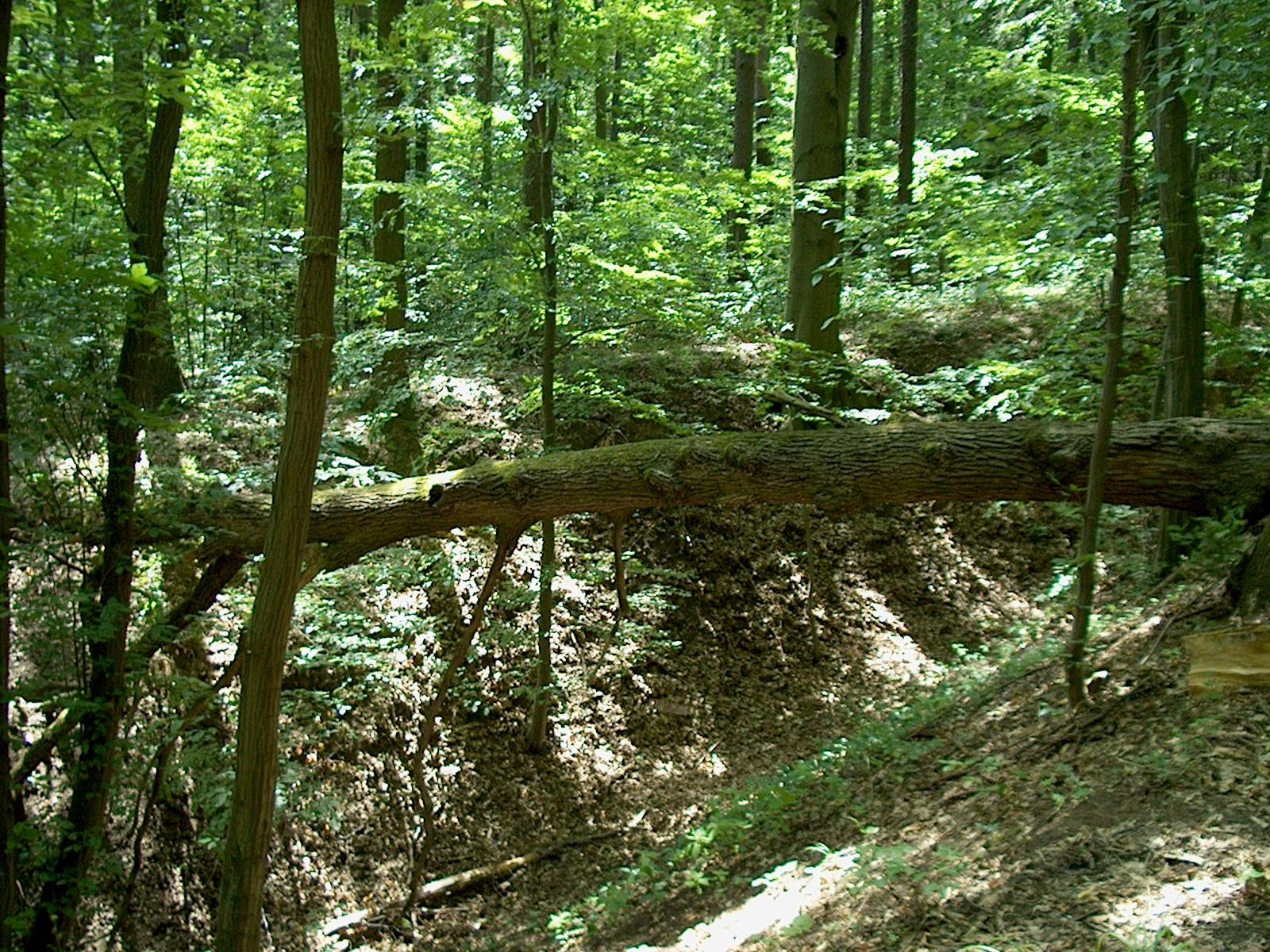 HP Photosmart C618: Jak mete staré koště?