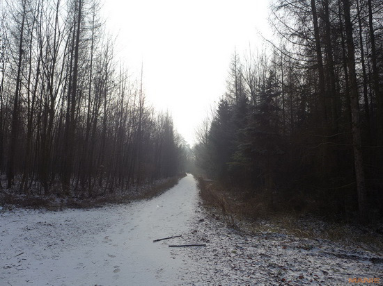 Panasonic Lumix LX7: kompaktní hvězda noci