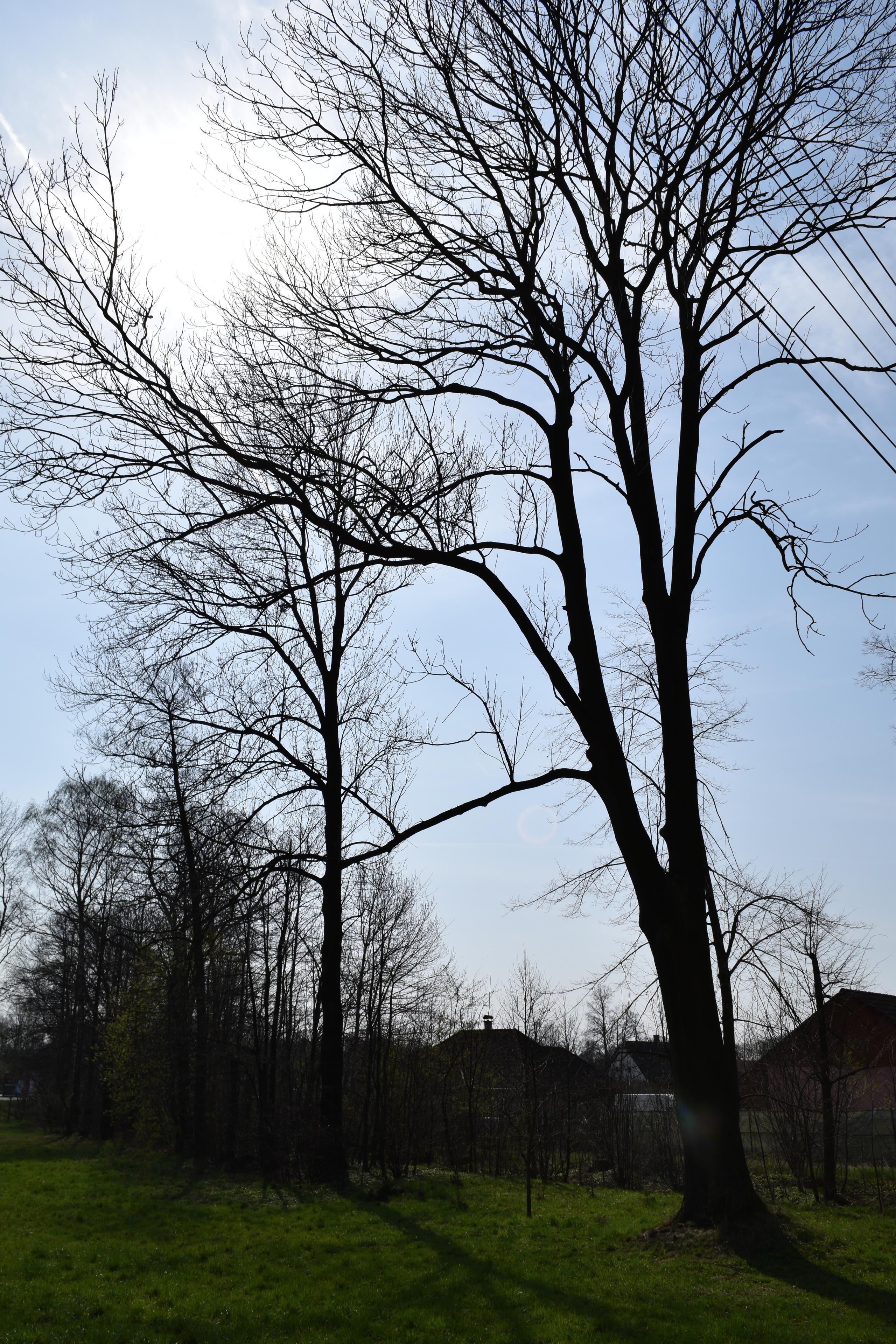 Nikon D5300: bezdrátový DSLR turista