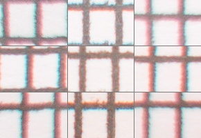 Nikon AF-P NIKKOR 18-55mm f/3.5-5.6G VR